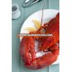 FROZEN LOBSTER / FROZEN LOBSTER TAIL / FRESH LIVE LOBSTER for sale best prices